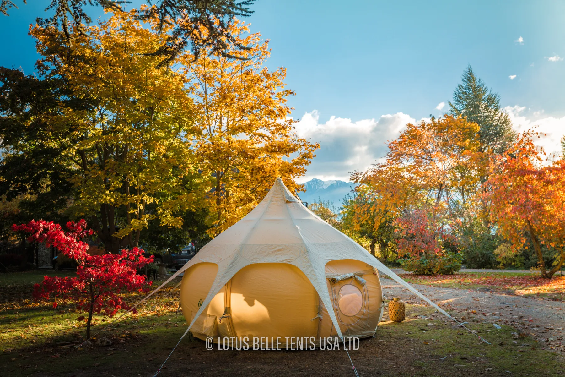 10ft Lotus Belle Air Beam Bud Tent