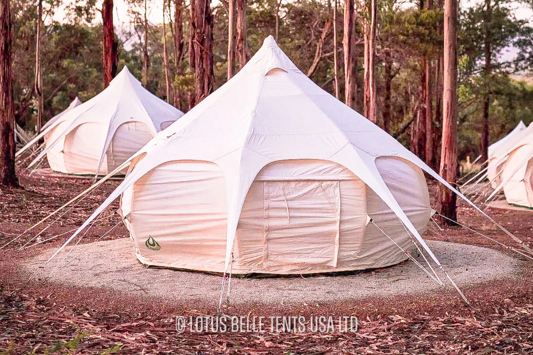 10ft Lotus Belle Air Beam Bud Tent