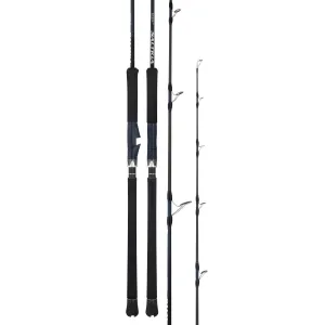 Daiwa 25 Saltiga J