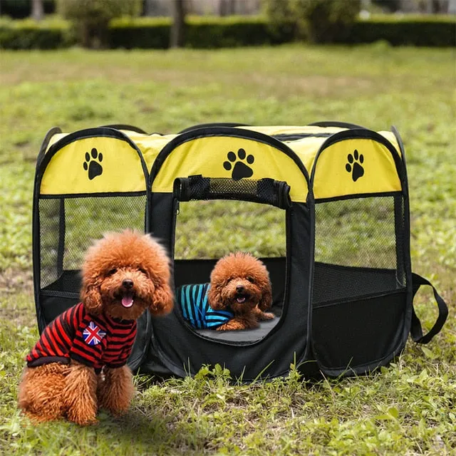Dog Tent