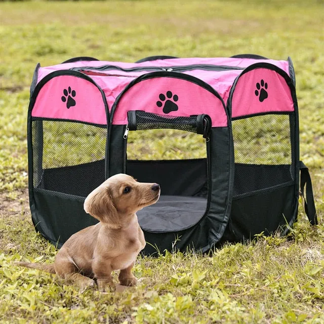 Dog Tent