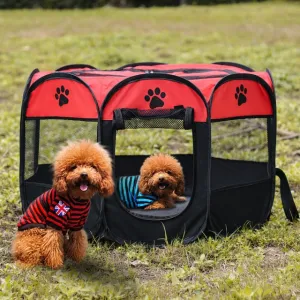 Dog Tent