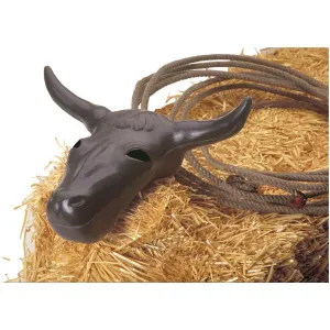 Jr. Steer Head