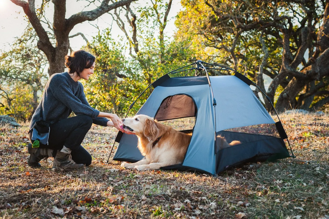 P.L.A.Y. Outdoor Pup Tent