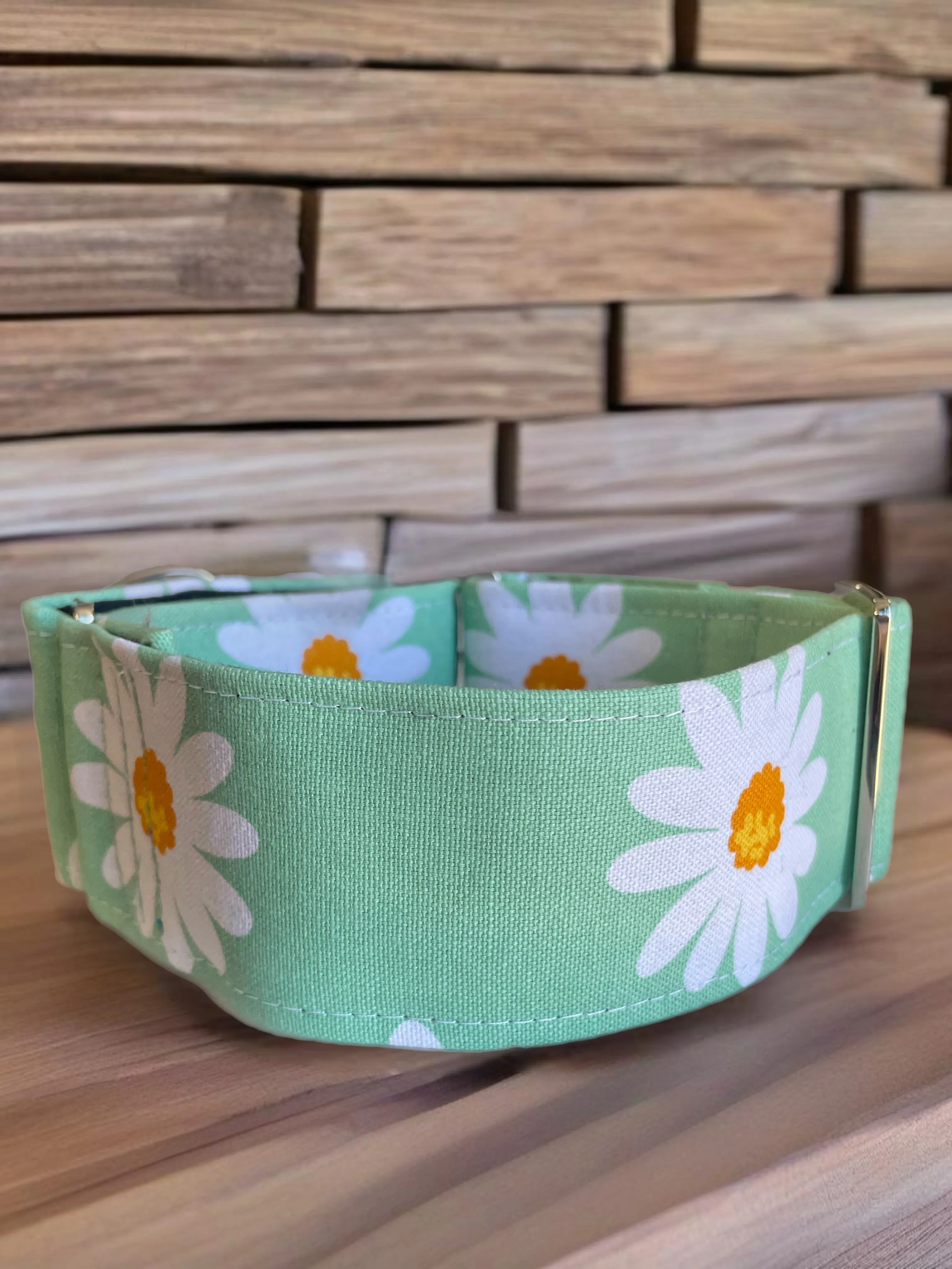 Wide Martingale collar daisies on sage sturdy cotton 50mm width
