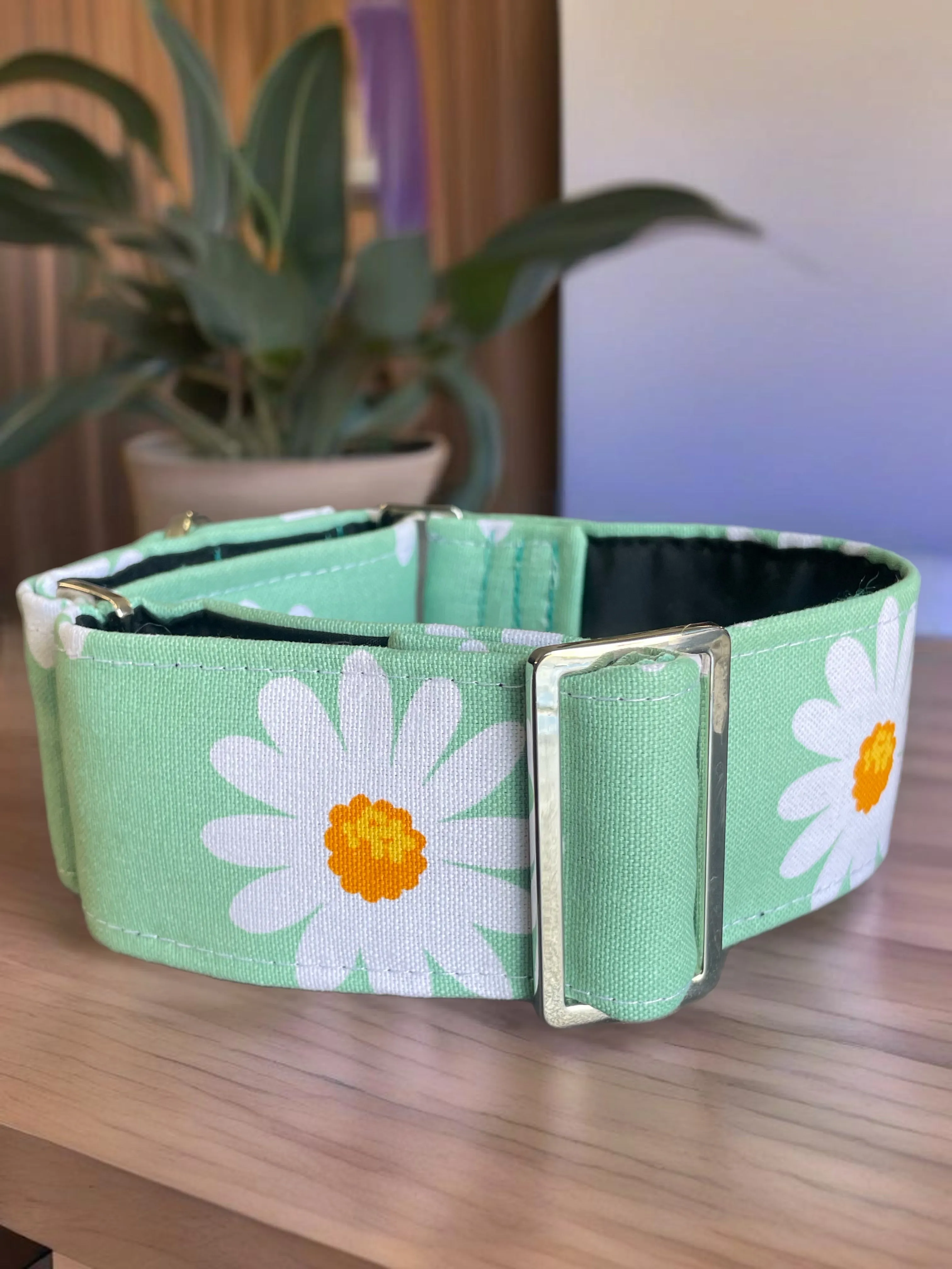 Wide Martingale collar daisies on sage sturdy cotton 50mm width