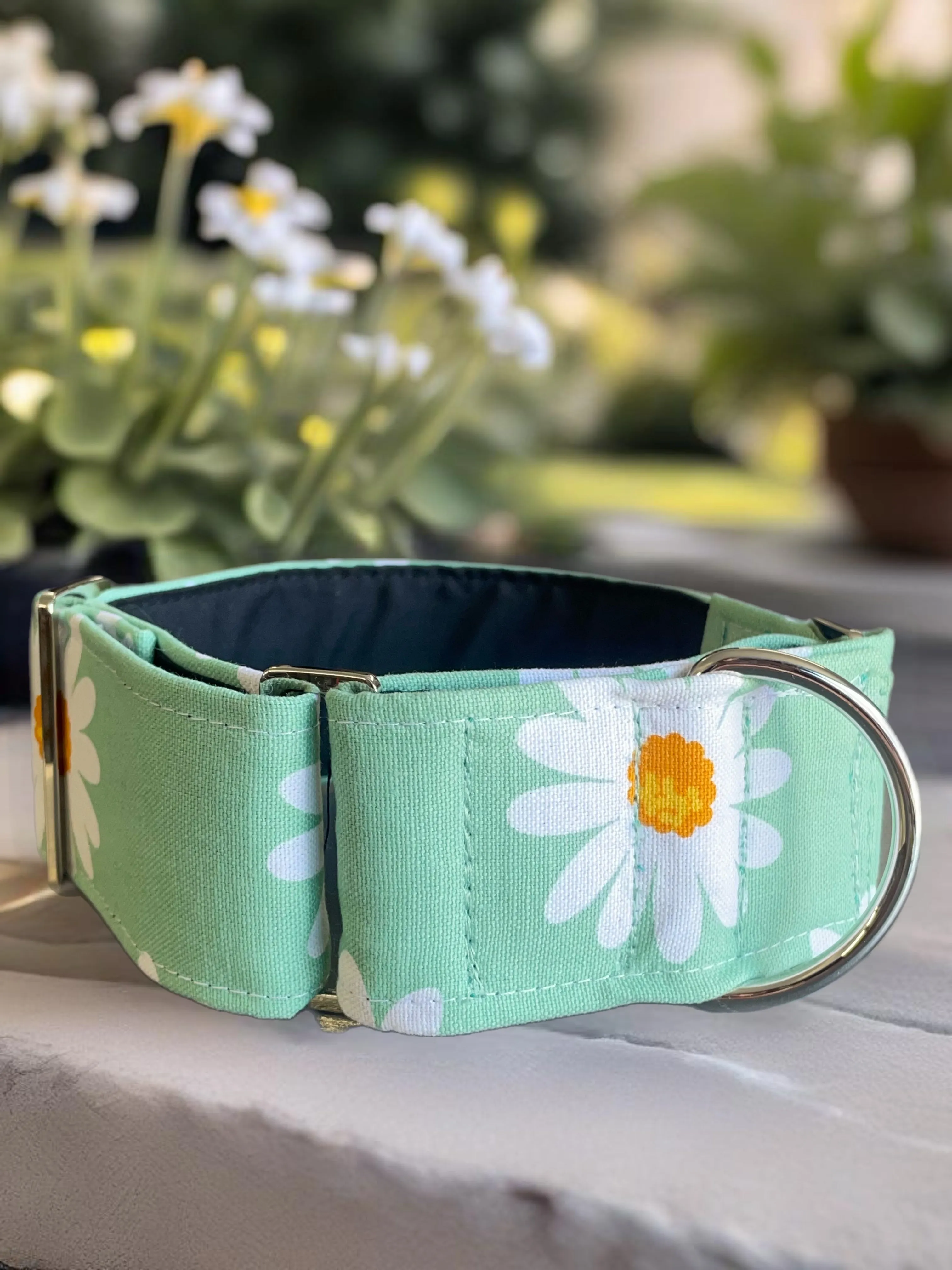 Wide Martingale collar daisies on sage sturdy cotton 50mm width