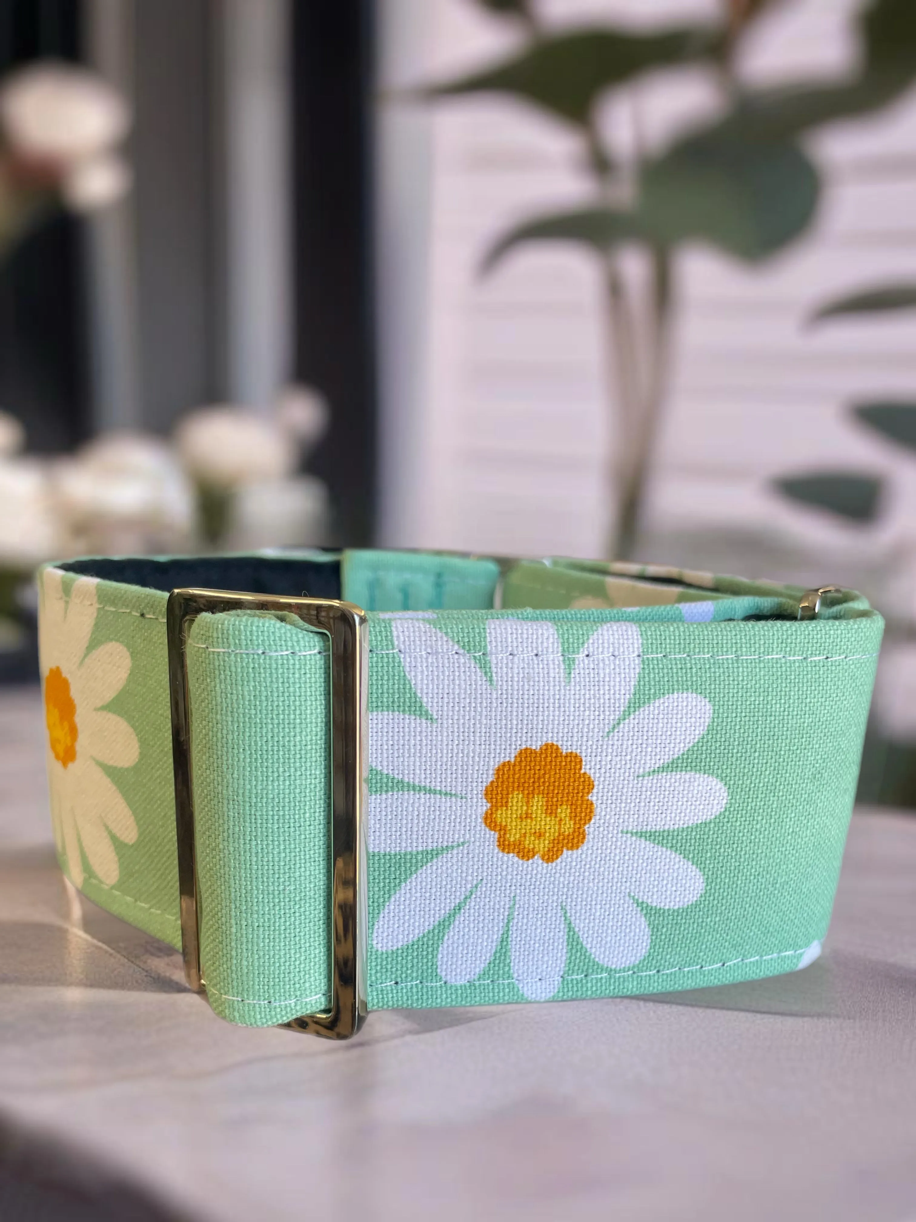 Wide Martingale collar daisies on sage sturdy cotton 50mm width