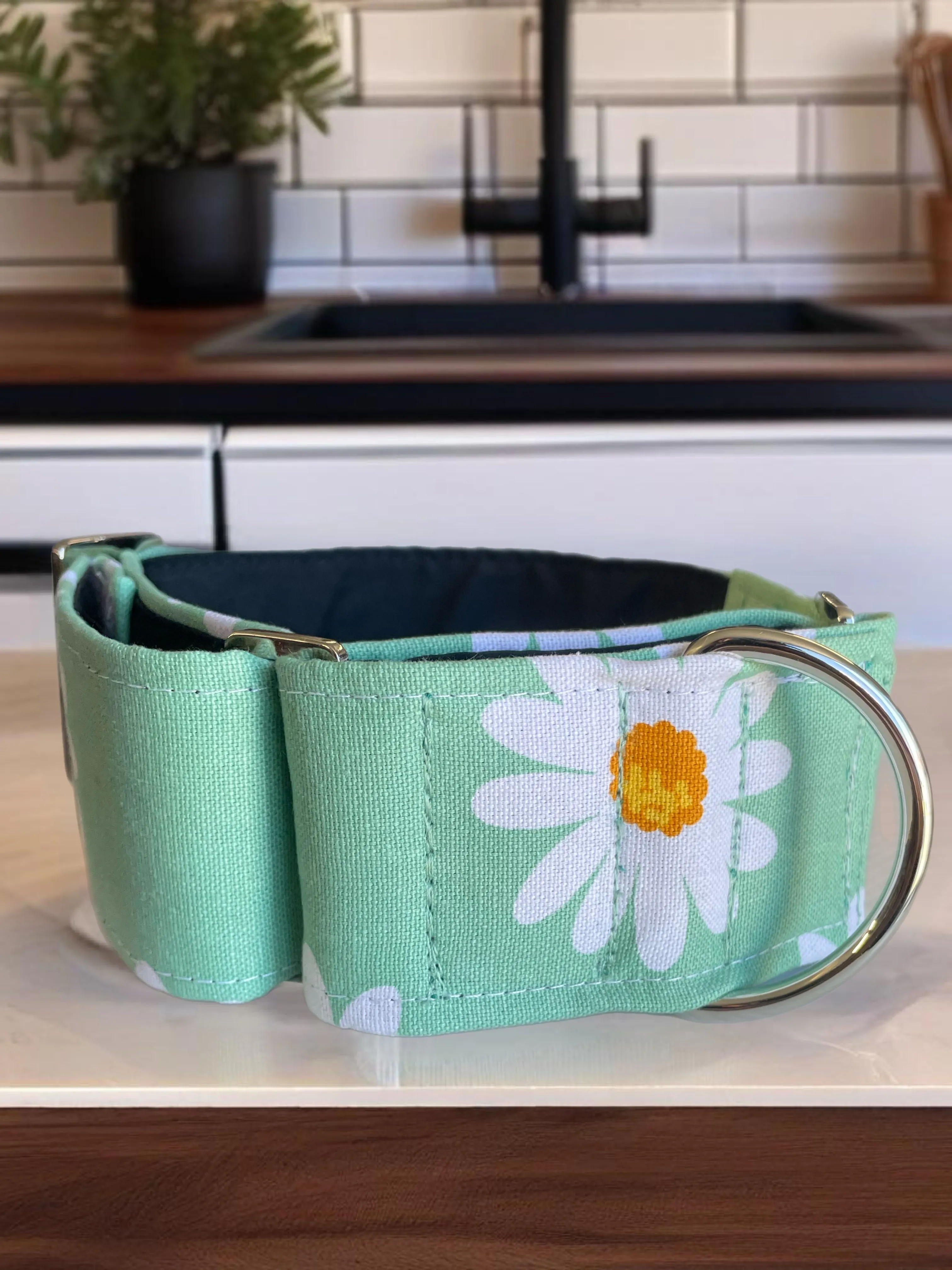 Wide Martingale collar daisies on sage sturdy cotton 50mm width