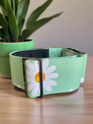 Wide Martingale collar daisies on sage sturdy cotton 50mm width